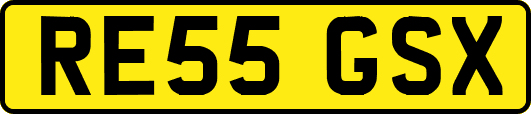 RE55GSX