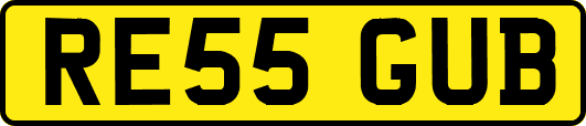 RE55GUB