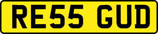 RE55GUD