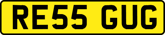 RE55GUG