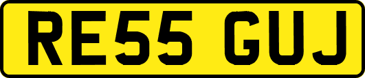 RE55GUJ