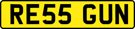 RE55GUN
