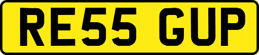 RE55GUP