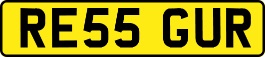 RE55GUR