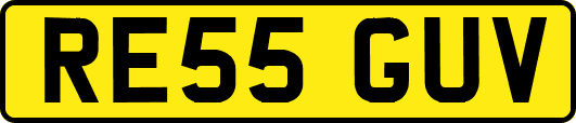 RE55GUV