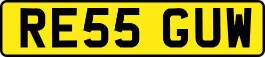 RE55GUW