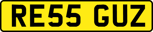 RE55GUZ