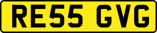 RE55GVG