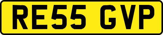 RE55GVP