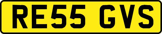 RE55GVS