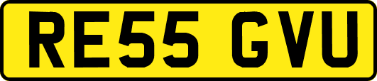 RE55GVU