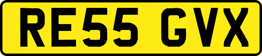 RE55GVX
