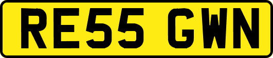 RE55GWN