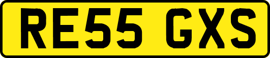 RE55GXS