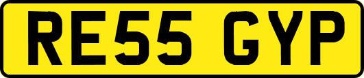 RE55GYP