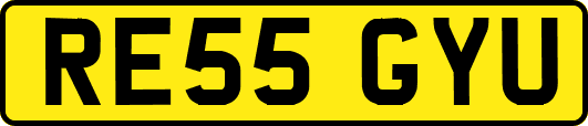 RE55GYU