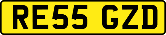 RE55GZD