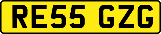 RE55GZG