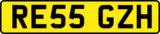RE55GZH