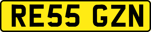 RE55GZN