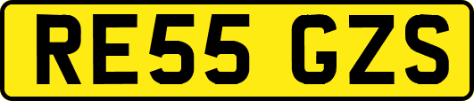 RE55GZS