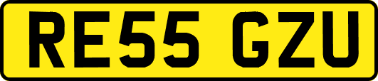 RE55GZU