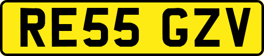 RE55GZV