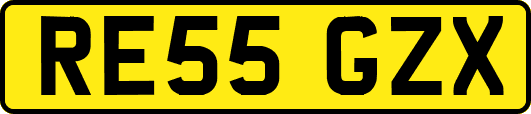RE55GZX