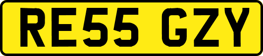 RE55GZY