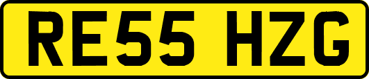 RE55HZG