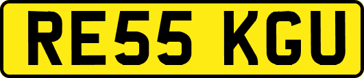 RE55KGU