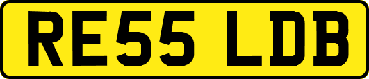 RE55LDB