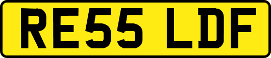 RE55LDF