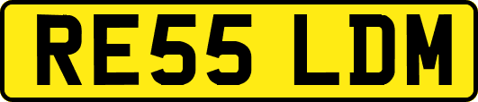 RE55LDM
