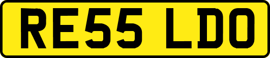 RE55LDO