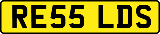 RE55LDS