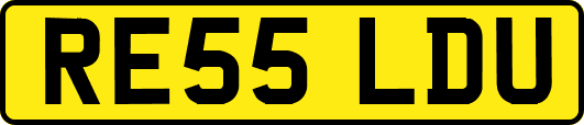 RE55LDU