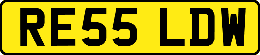 RE55LDW