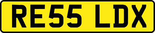 RE55LDX