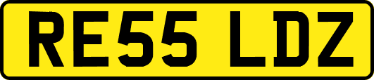 RE55LDZ