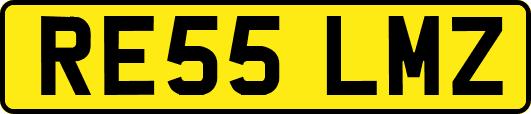 RE55LMZ