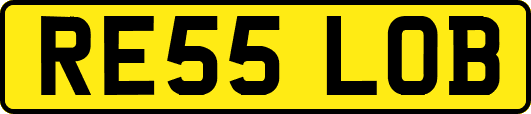 RE55LOB