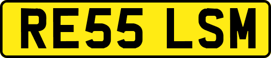 RE55LSM