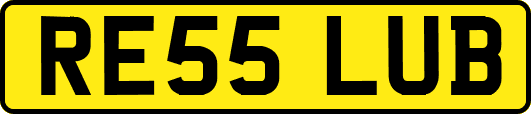 RE55LUB