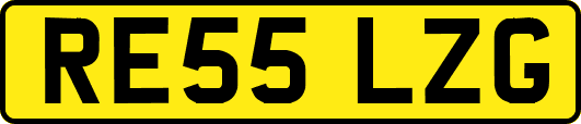 RE55LZG