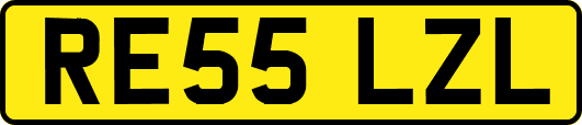 RE55LZL