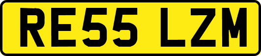 RE55LZM