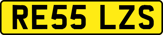 RE55LZS