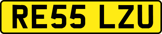 RE55LZU