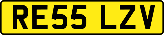 RE55LZV